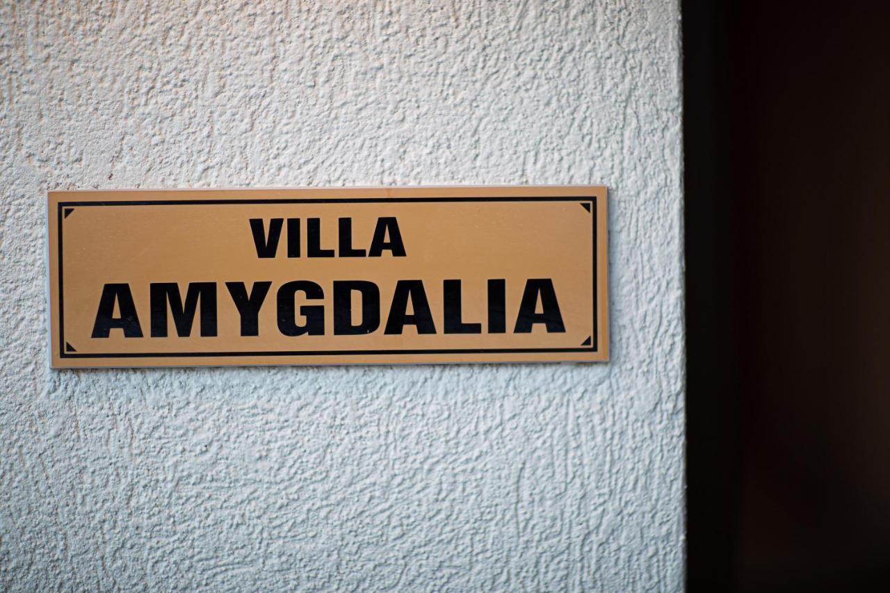 Villa Galanis Kalamítsion Amigdhálion Exterior foto